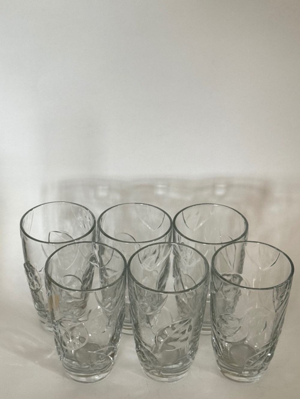 Set of 6 CRISTAL D'ARQUES "Durand Collection" Botanic Highball Clear Glasses